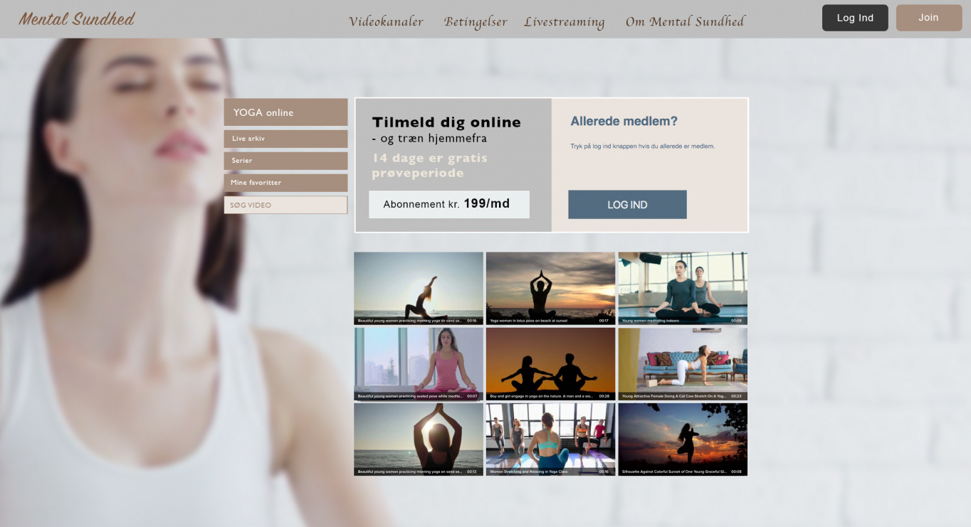 Mental-Sumndhed-case-eksempel-SHOP-Videotoool
