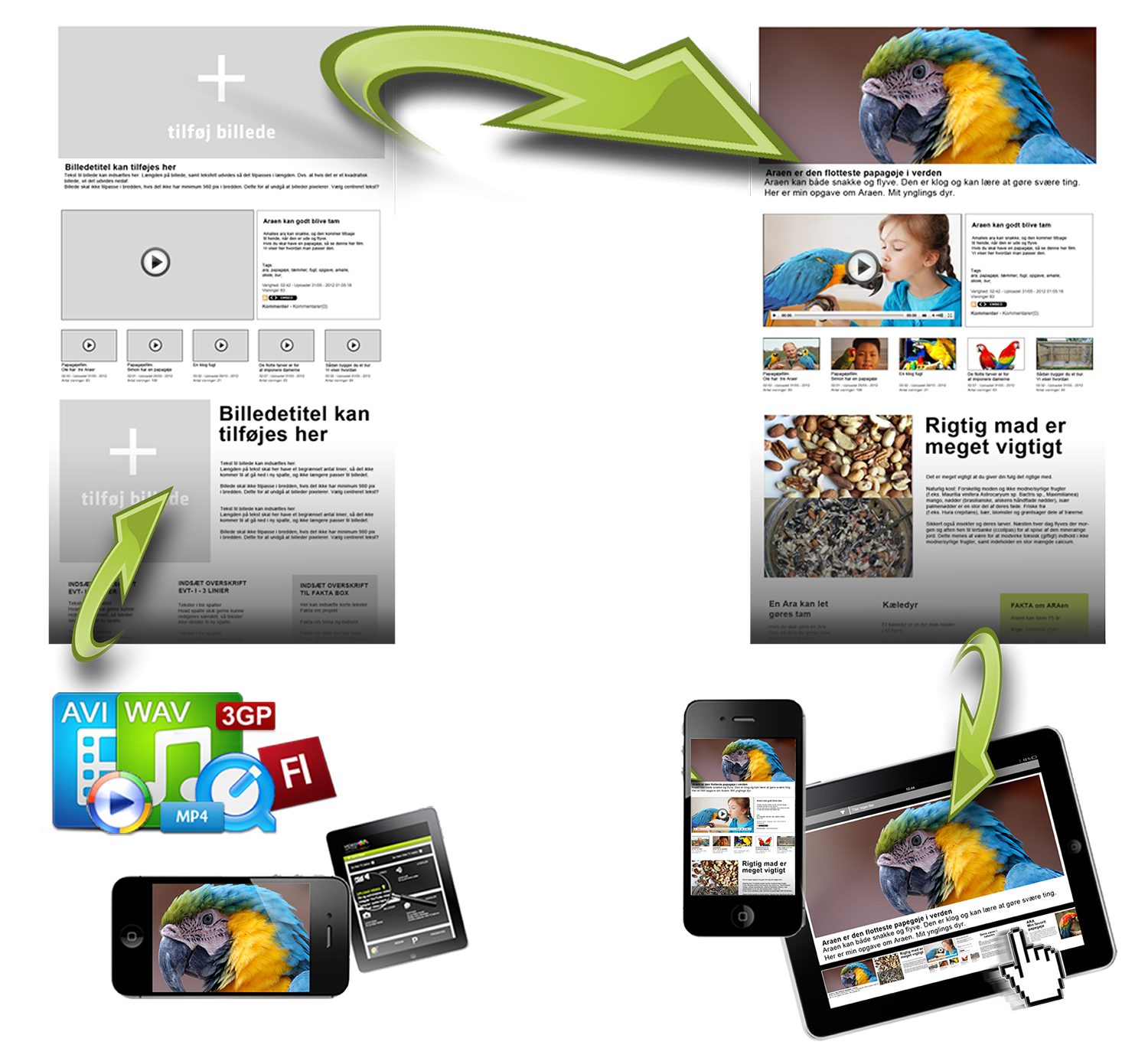 VideoTool-SIDER-web-1500-bred-Top-2015